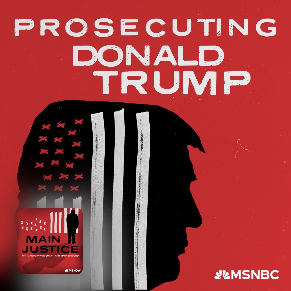 In a Manhattan Courtroom